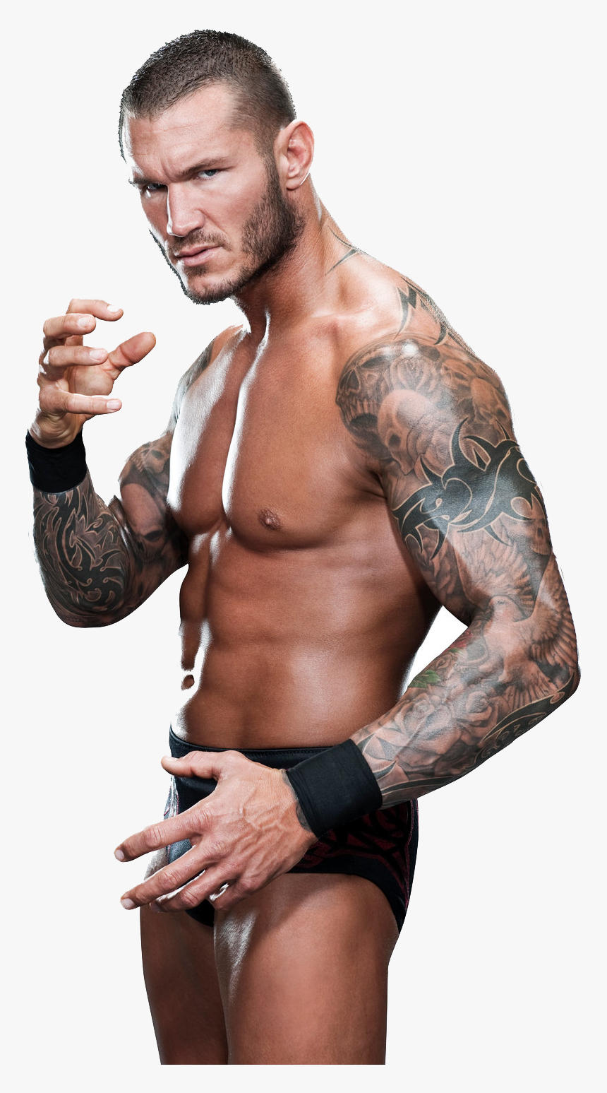 Randy Orton Png File - Wwe Randy Orton Png 2019 Png, Transparent Png, Free Download