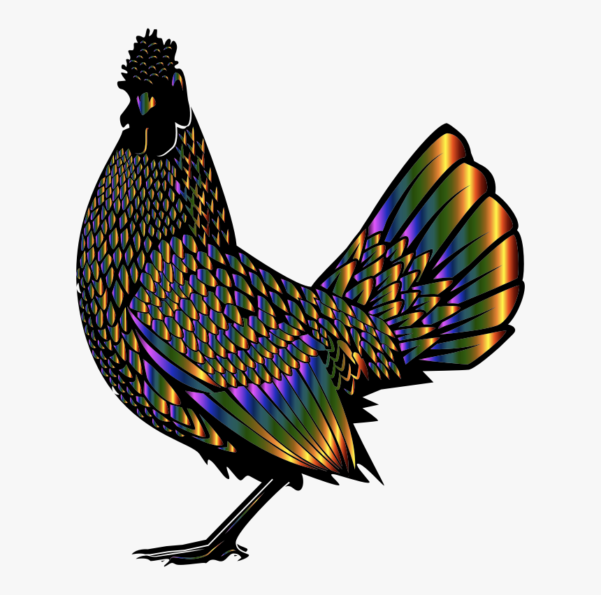 Rooster Chicken Poultry Farming Fowl Animal - Rooster Graphic, HD Png Download, Free Download