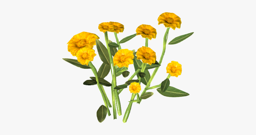 Animallica Wiki - English Marigold, HD Png Download, Free Download