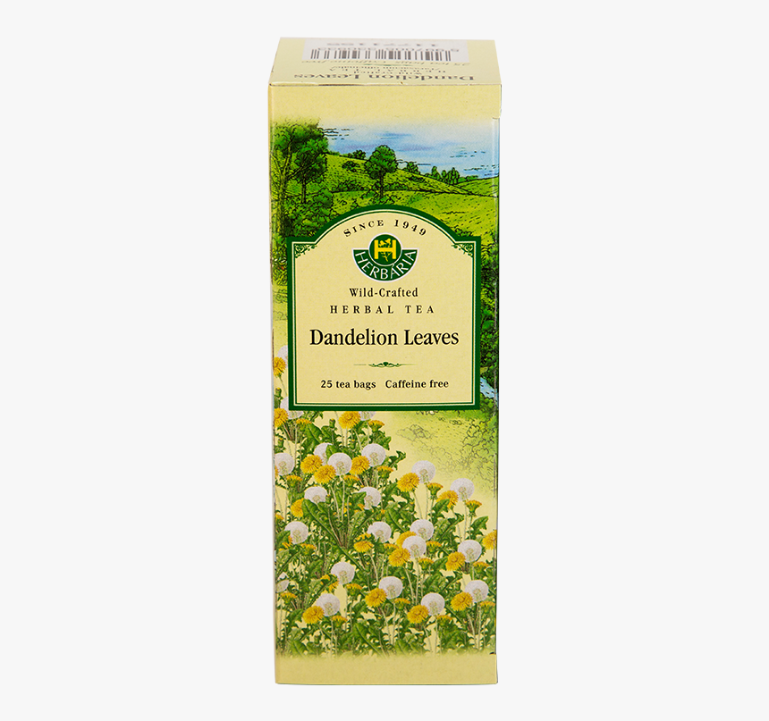 Herbaria-dandelion - Tea, HD Png Download, Free Download