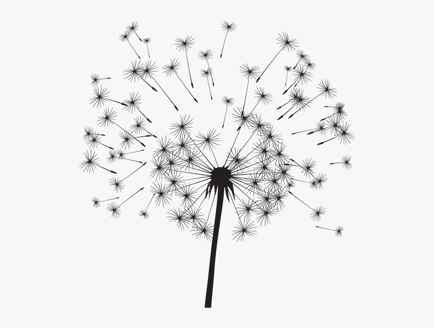 Dandelion, HD Png Download, Free Download