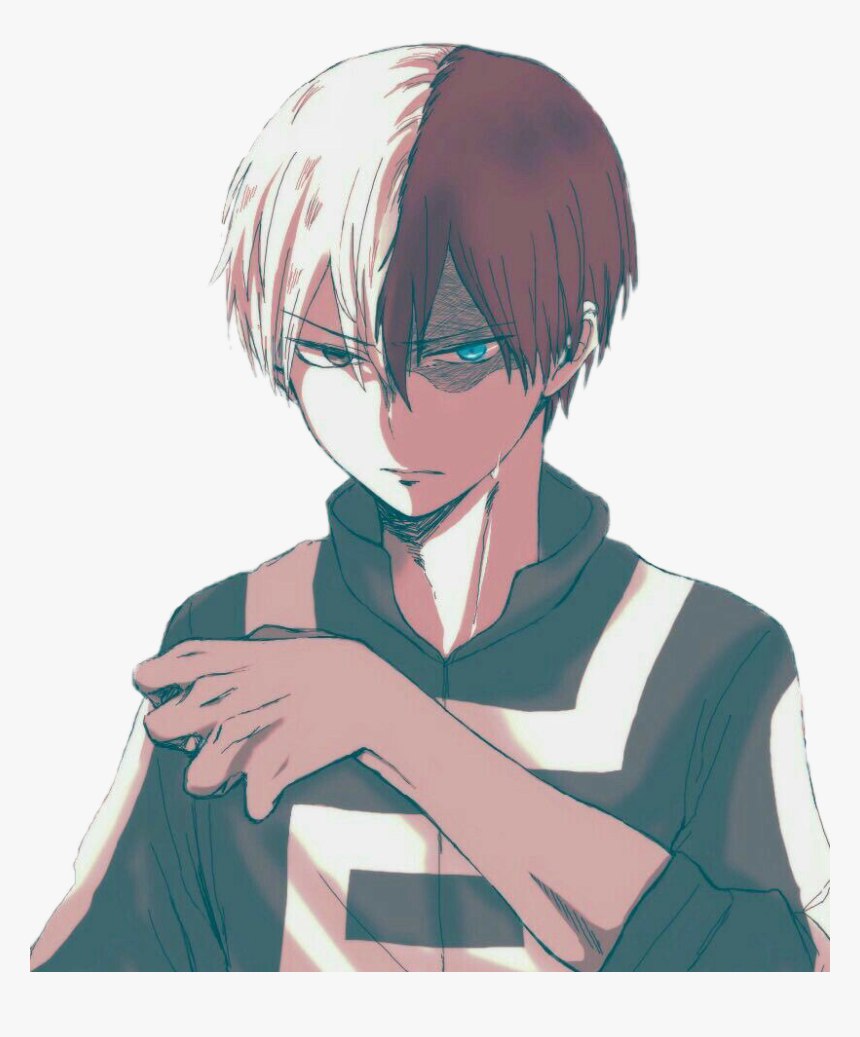 #shoutotodoroki #todoroki #todorokishouto #shouto #bnha - My Hero Academia Shoto Todoroki, HD Png Download, Free Download