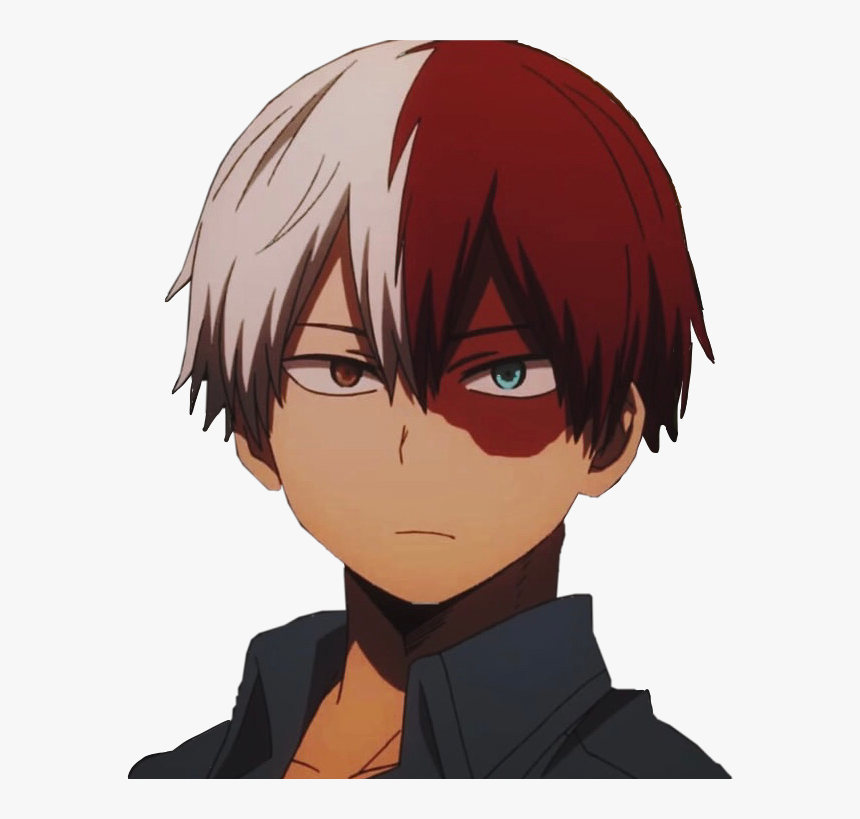 Shoto todoroki