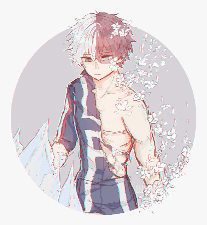 Todorokishouto Todoroki Shoutotodoroki Myheroacademia - Todoroki Cute, HD Png Download, Free Download