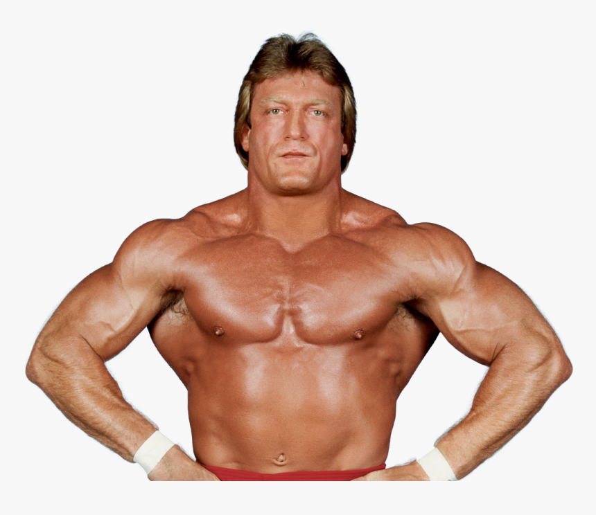 Paul Orndorff"
 Class="img Responsive True Size - Paul Orndorff Png, Transparent Png, Free Download