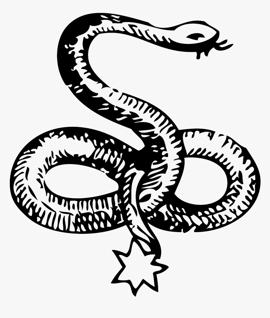 Serpent Png, Transparent Png, Free Download