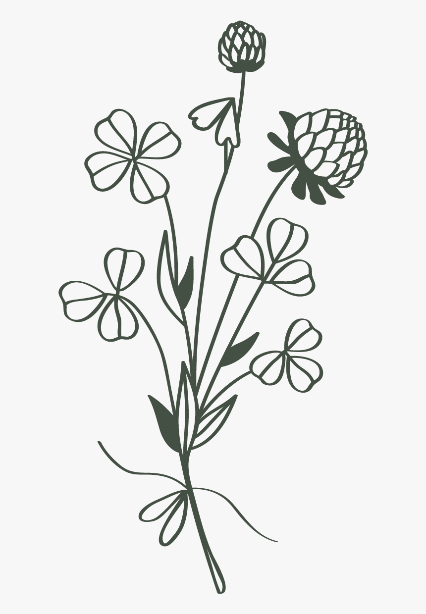 Cec 13 Bouquet Green Flip - Gilliflower, HD Png Download, Free Download