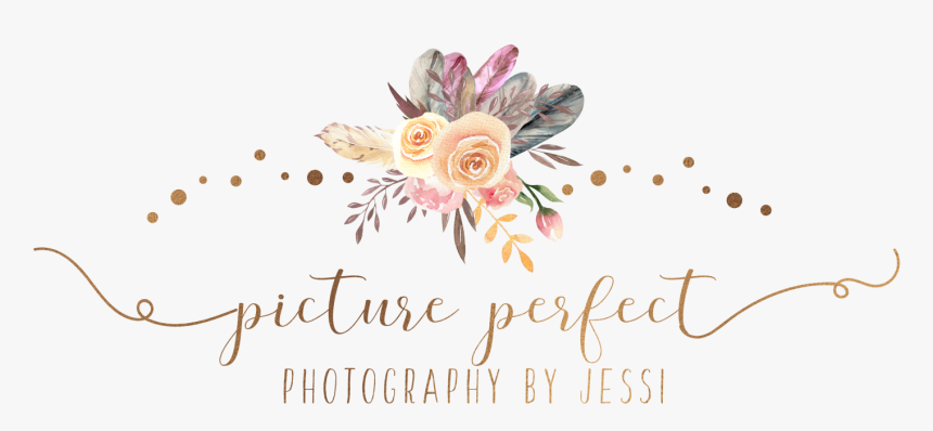 Picture Perfect Photography By Jessi Roanoke, Va 339-5683 - Greeting Card, HD Png Download, Free Download