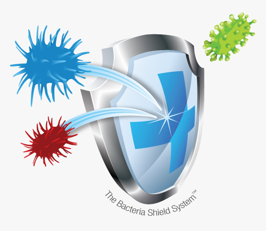 Transparent Shield Clipart Png - Bacterial Shield, Png Download, Free Download