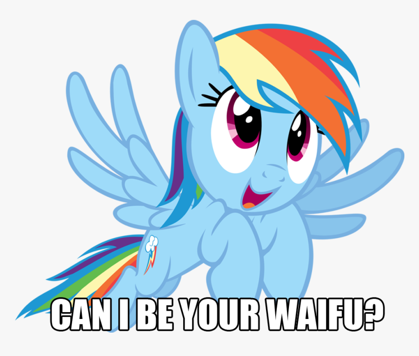 Bronybait, Image Macro, Rainbow Dash, Safe, Solo, Waifu - Mlp Rainbow Dash Is My Waifu, HD Png Download, Free Download