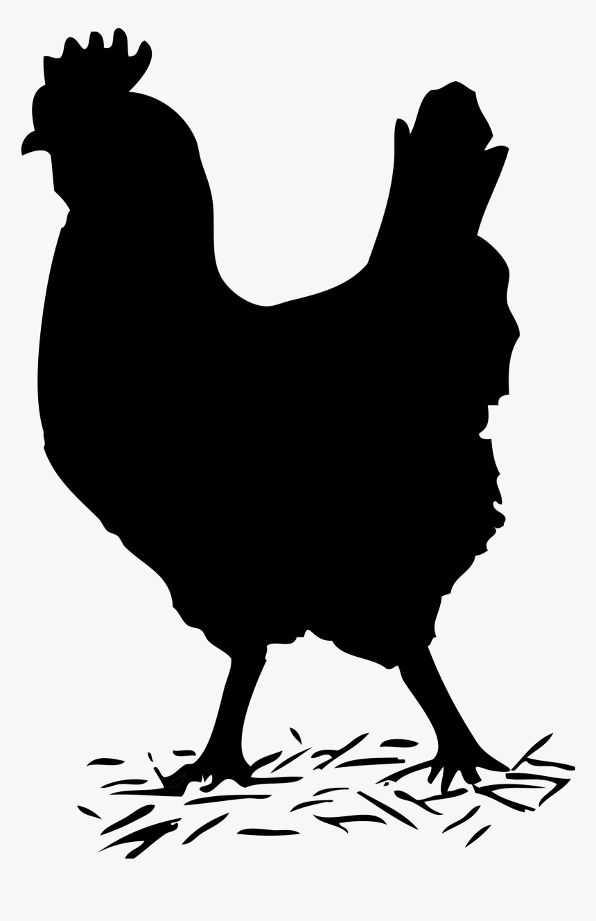 Black Chicken Clipart - Hen Black And White Png, Transparent Png, Free Download