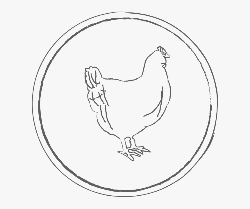 Chickn - Rooster, HD Png Download, Free Download