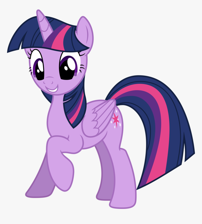 My Little Pony Fan Fiction Wiki - Twilight Sparkle My Little Pony Ponies, HD Png Download, Free Download