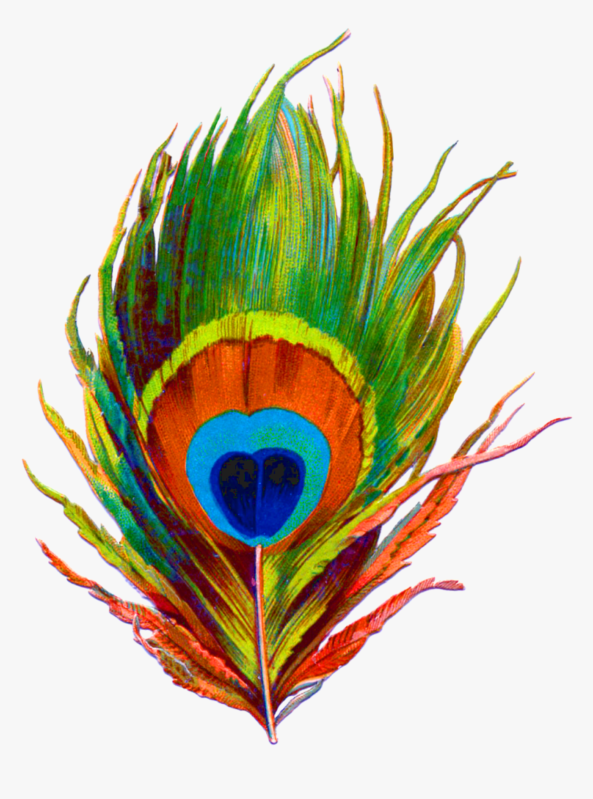 Bansuri With Peacock Feather Png - Peacock Feather Png Logo, Transparent Png, Free Download