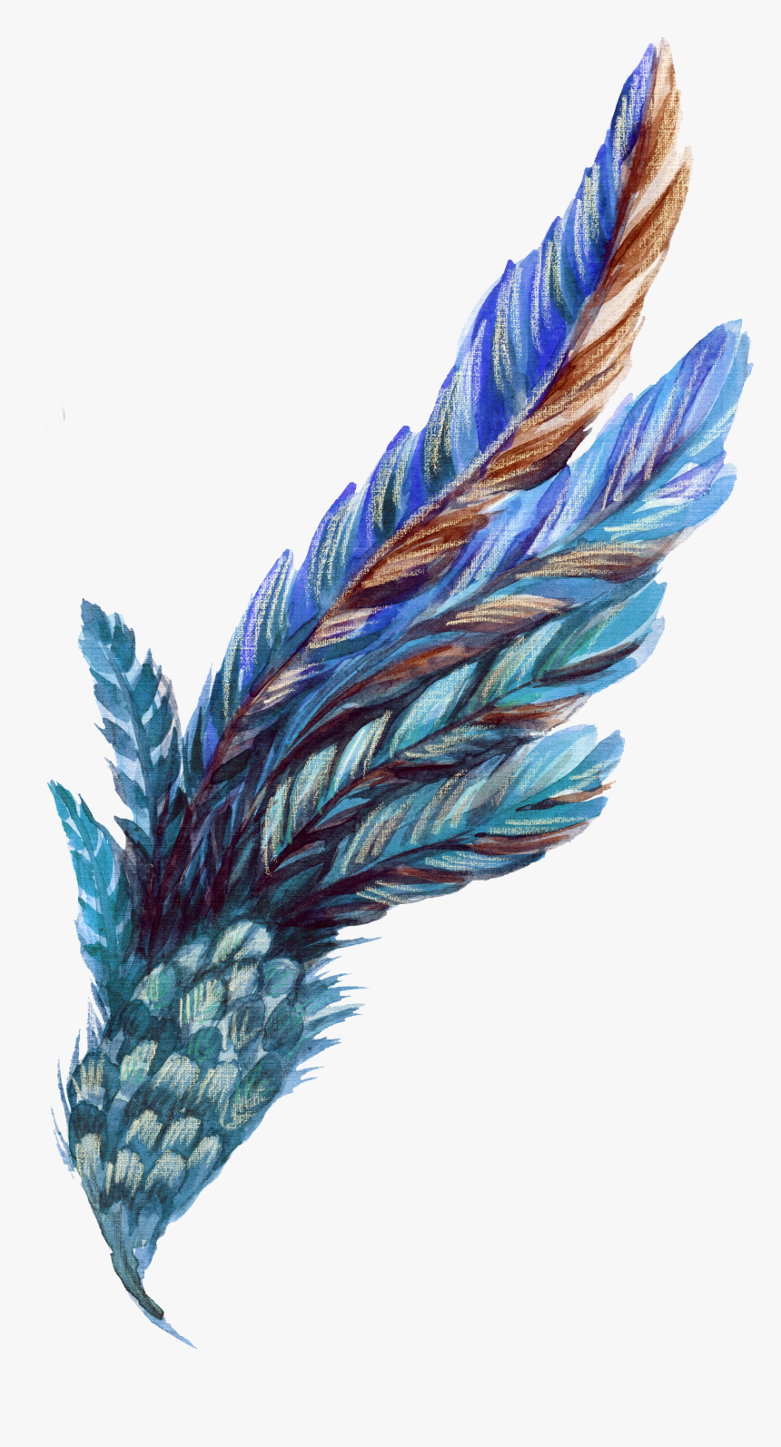 Blue Feather Png - Blue Orange Leaves Png, Transparent Png, Free Download