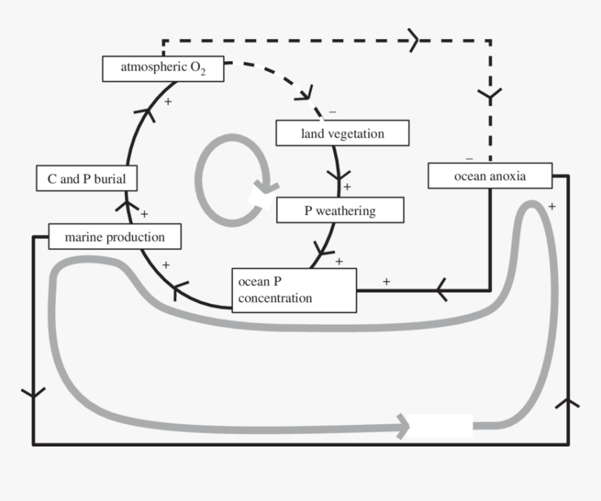 Phosphorus Sedimentary Cycle Anoxic, HD Png Download, Free Download