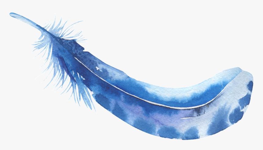 Transparent Feather Clipart Png - Feather, Png Download, Free Download