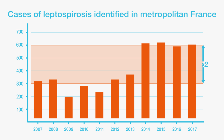 Photo - Leptospirosis France, HD Png Download, Free Download
