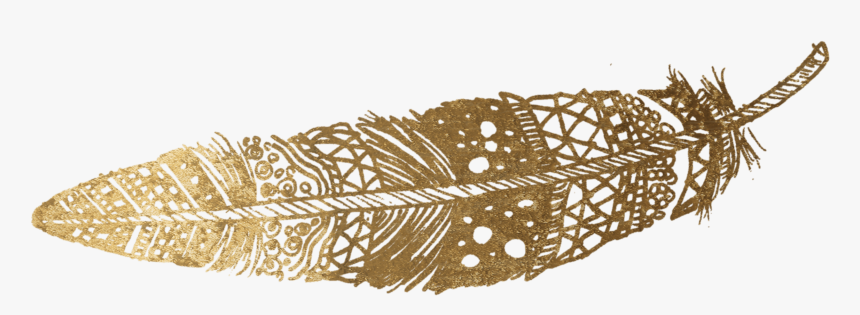 Transparent Gold Feather Png - Transparent Png Feathers No Background, Png Download, Free Download