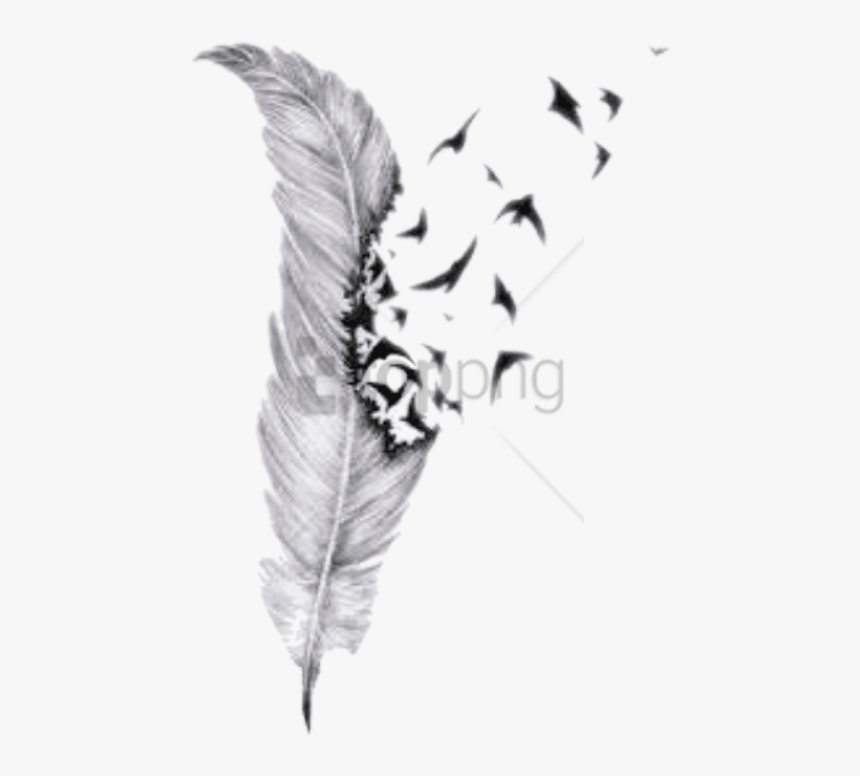 Transparent Feather Png Free - Feather With Birds Tattoo Design, Png Download, Free Download