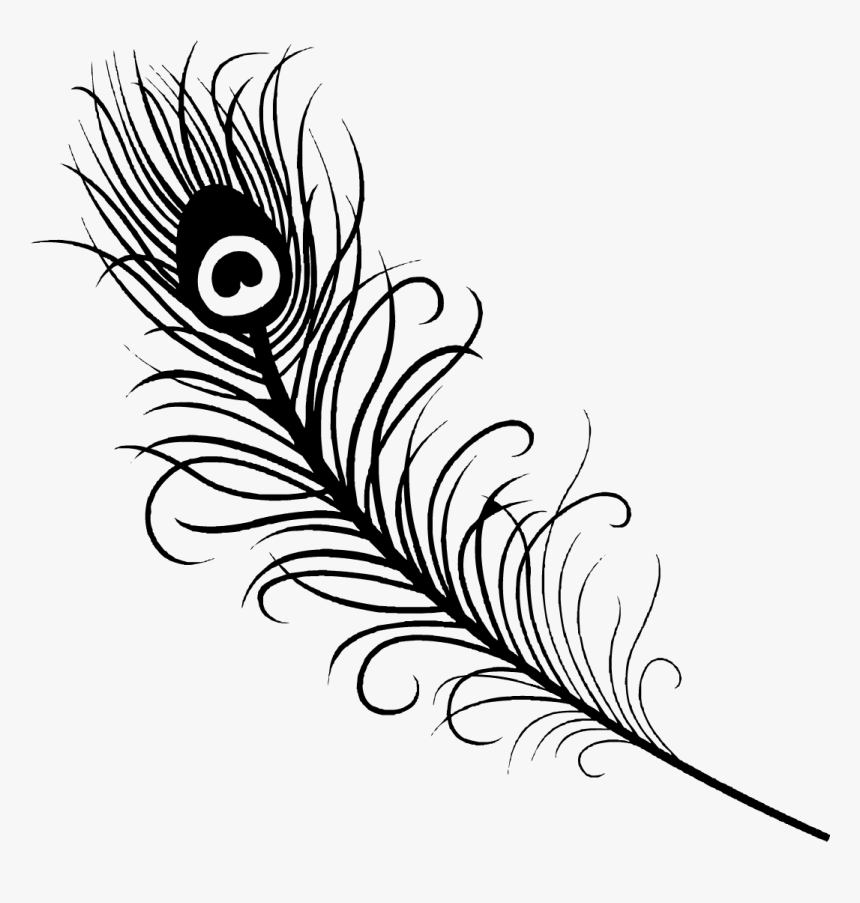 Drawn Flute Peacock Feather - Simple Peacock Feather Drawing, HD Png Download, Free Download