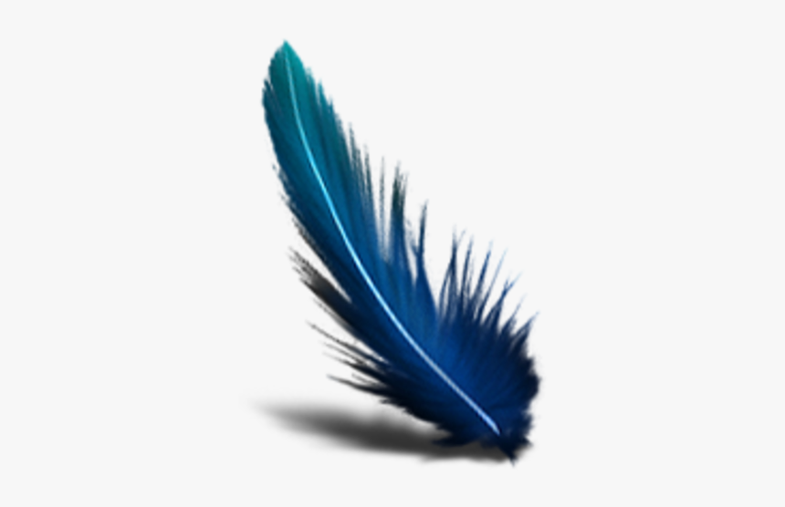 Transparent Background Feather Png, Png Download, Free Download