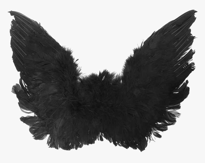 Accessory,fashion Accessory,fur,ear - Transparent Black Angel Wings, HD Png Download, Free Download