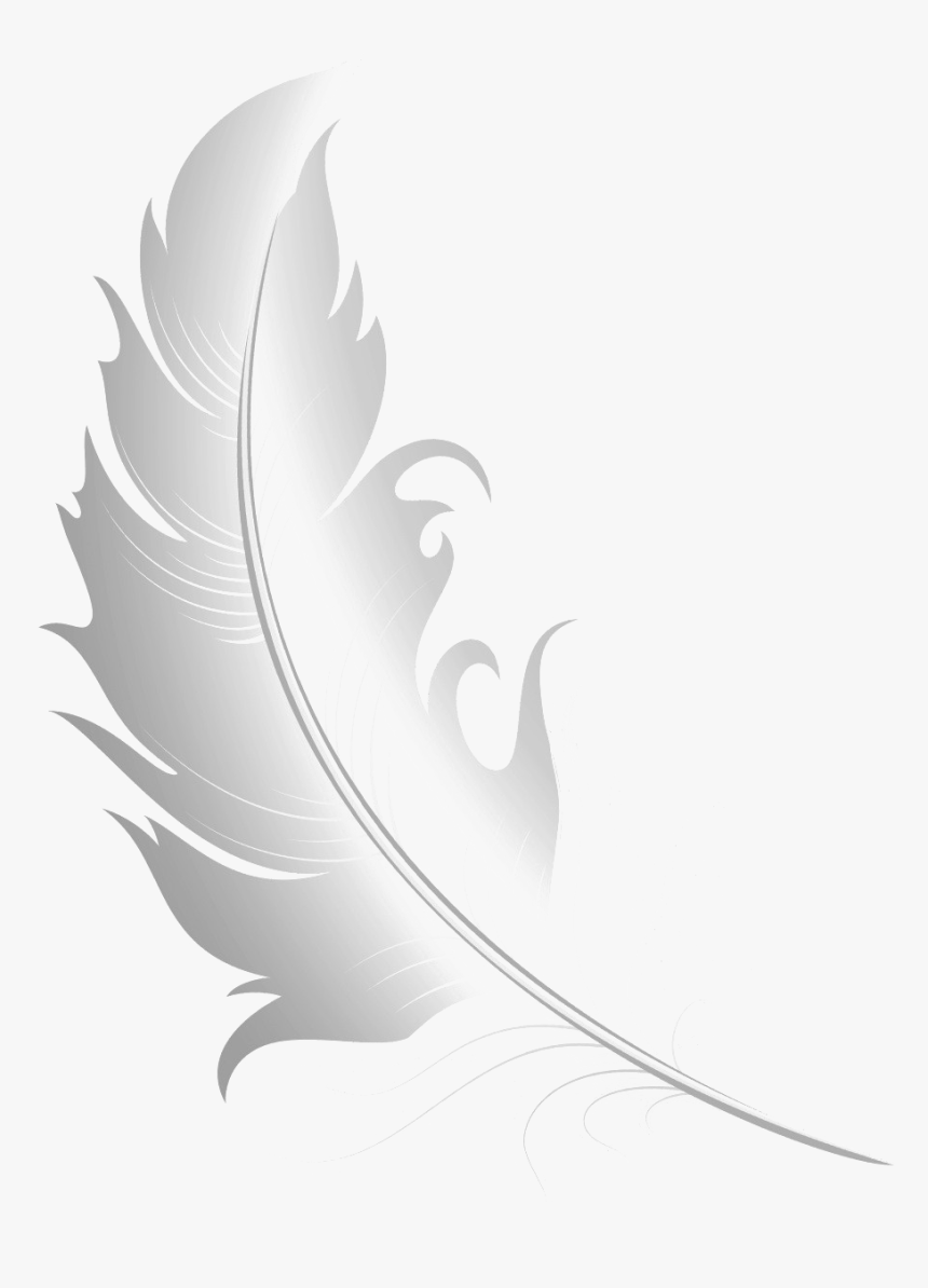 White Feather Free Png Image - Illustration, Transparent Png, Free Download