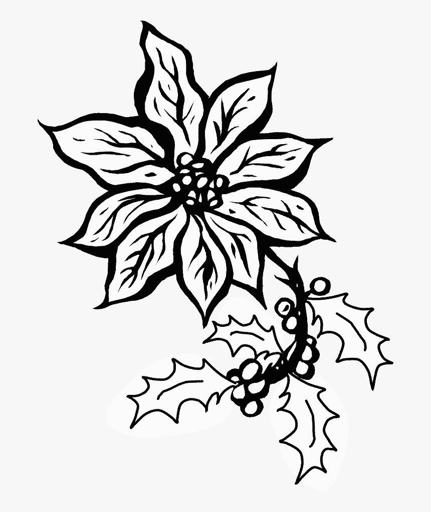 Poinsettia5 Holidays Coloring Pages - Clip Art Poinsettias Black And White, HD Png Download, Free Download