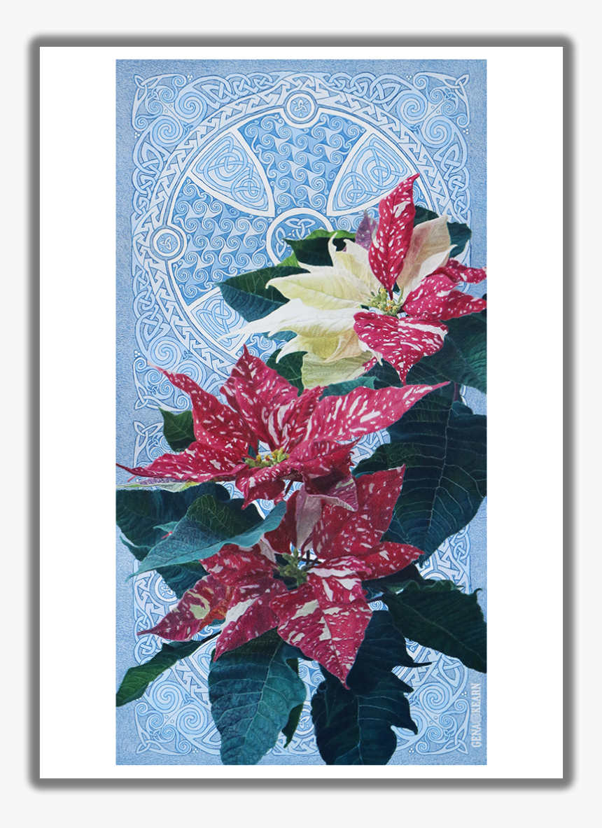 Good Tidings Of Great Joy Poinsettia Christmas Card - Poinsettia, HD Png Download, Free Download