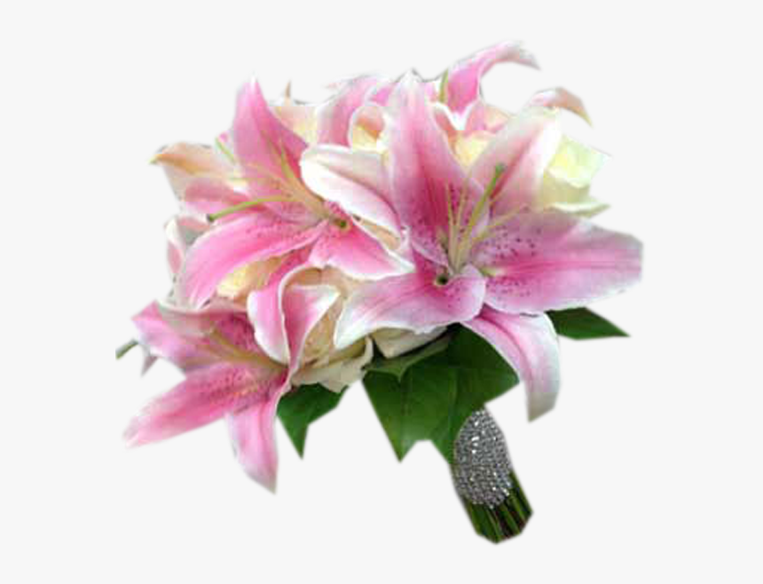 Lily Rose Flower, HD Png Download, Free Download