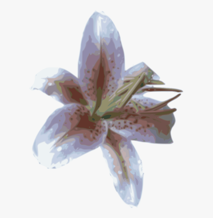 Transparent Stargazer Lily Png - Stargazer Lily, Png Download, Free Download
