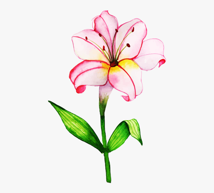 Free Png Floral Bouquets - Lily, Transparent Png, Free Download