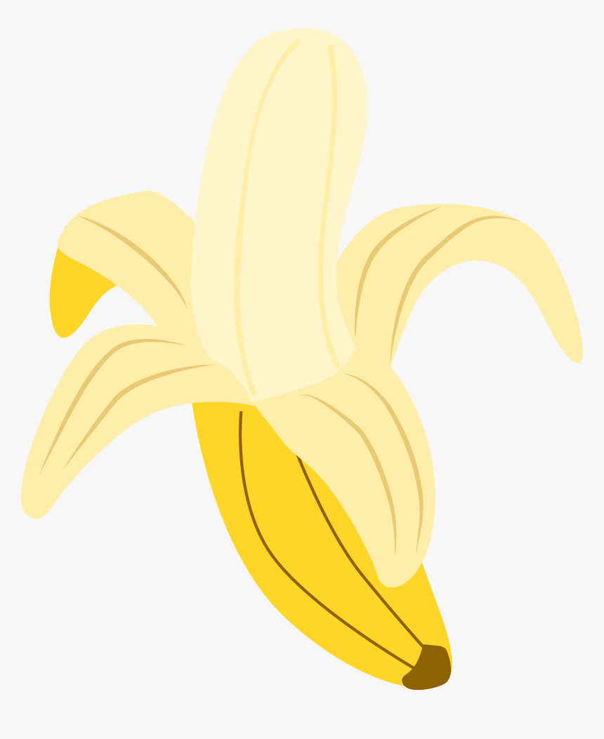 Transparent Banana Peel Png - Stargazer Lily, Png Download, Free Download