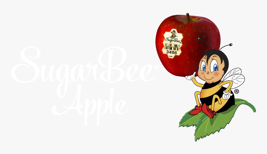 Sugarbee Apple, HD Png Download, Free Download