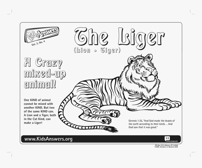 Transparent Liger Png - Liger Coloring Pages, Png Download, Free Download