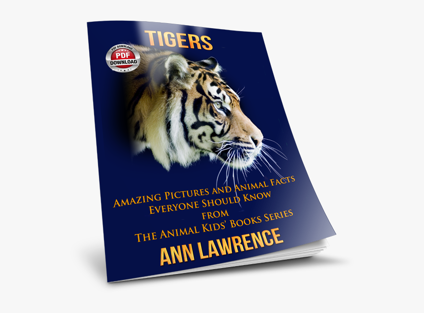 Transparent Liger Clipart - Siberian Tiger, HD Png Download, Free Download