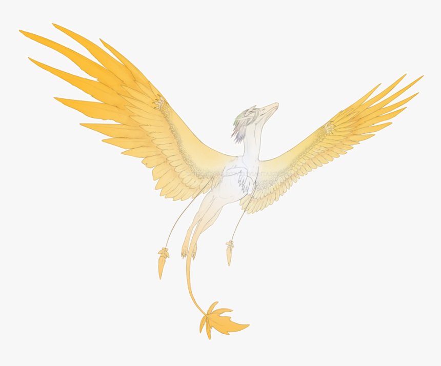 Golden Wings Png Download Image - Ciconiiformes, Transparent Png, Free Download