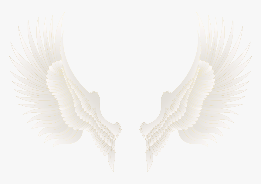 Eyelashes Clipart Gold - Golden Wings Wings Png Hd, Transparent Png, Free Download
