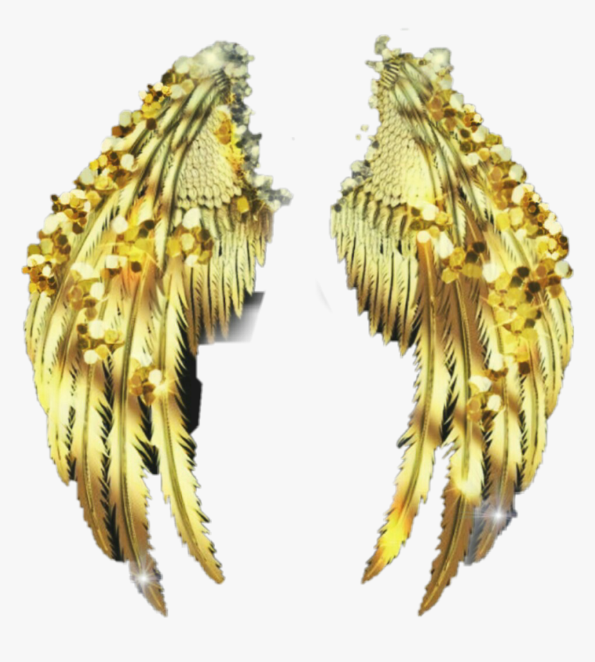 ##golden #wings - Golden Wings Transparent, HD Png Download, Free Download
