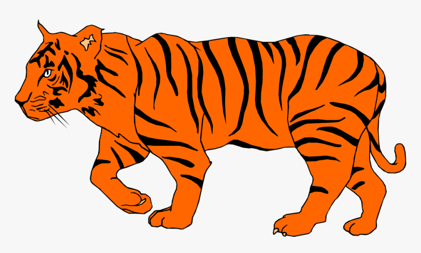 White Tiger Clipart Depauw - Orange Tiger Clipart, HD Png Download, Free Download