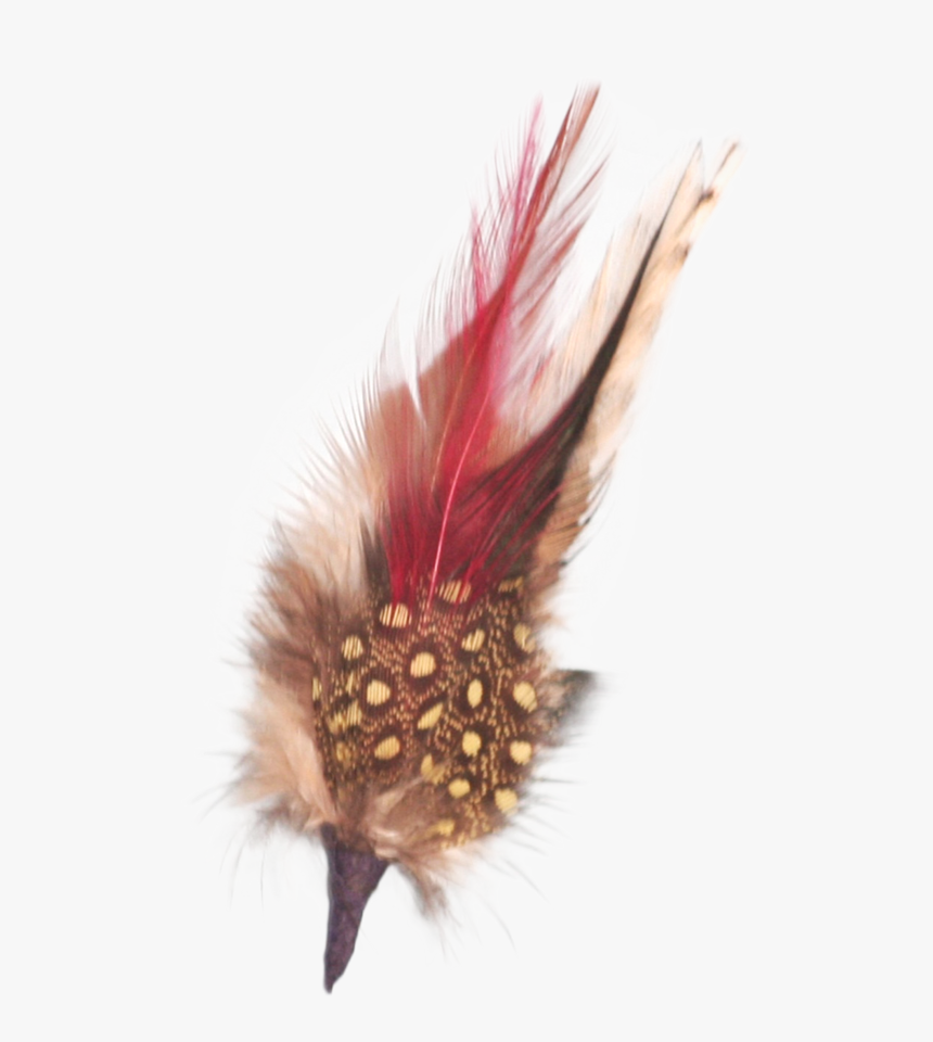 German Hat Single Feather Decor White/brown, HD Png Download, Free Download