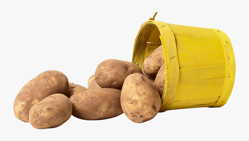 Russet Burbank Potato, HD Png Download, Free Download