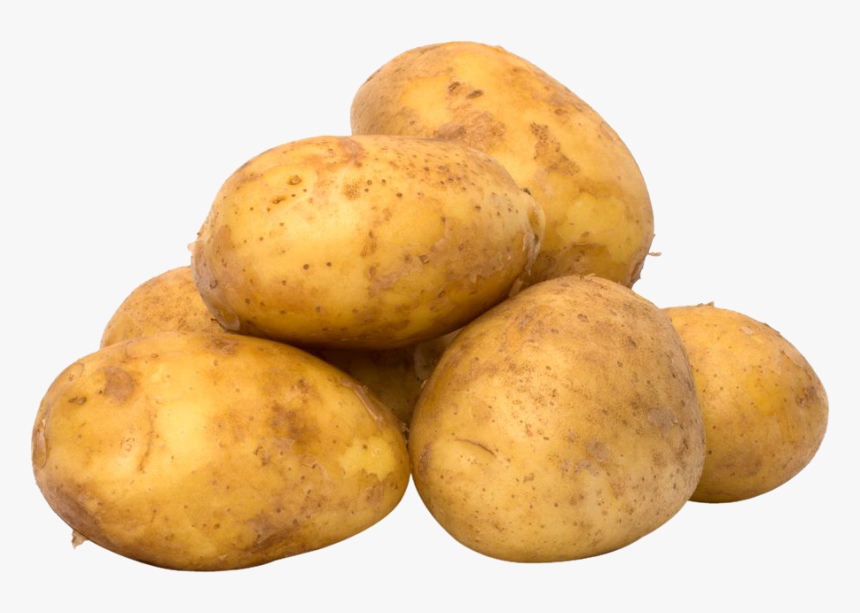 Transparent Potato Png - Potato Sprouts Poisonous, Png Download, Free Download