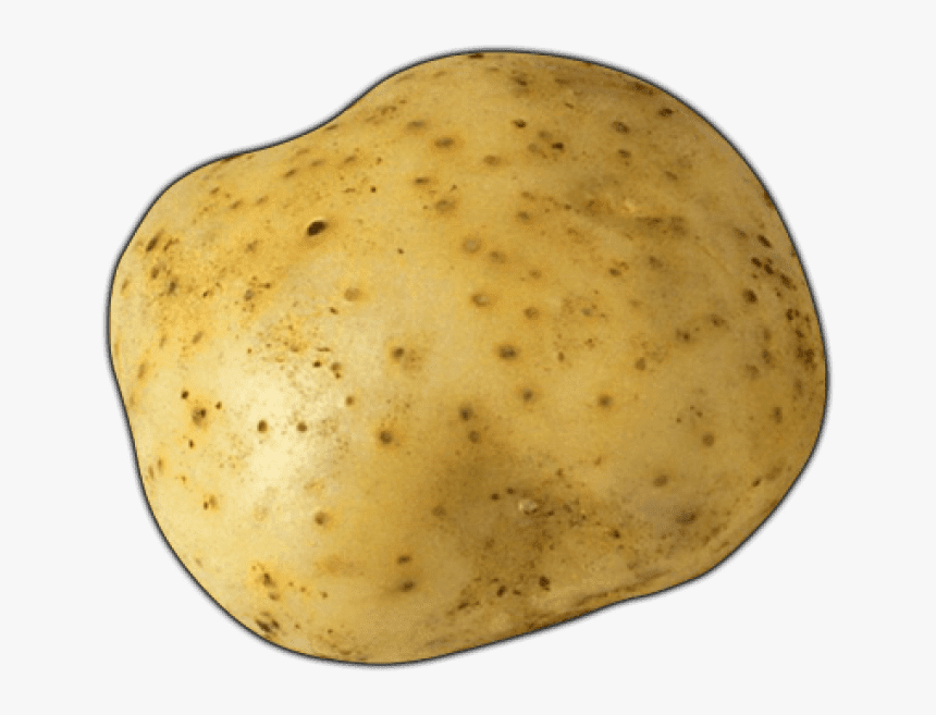 Potato Png Transparent, Png Download, Free Download