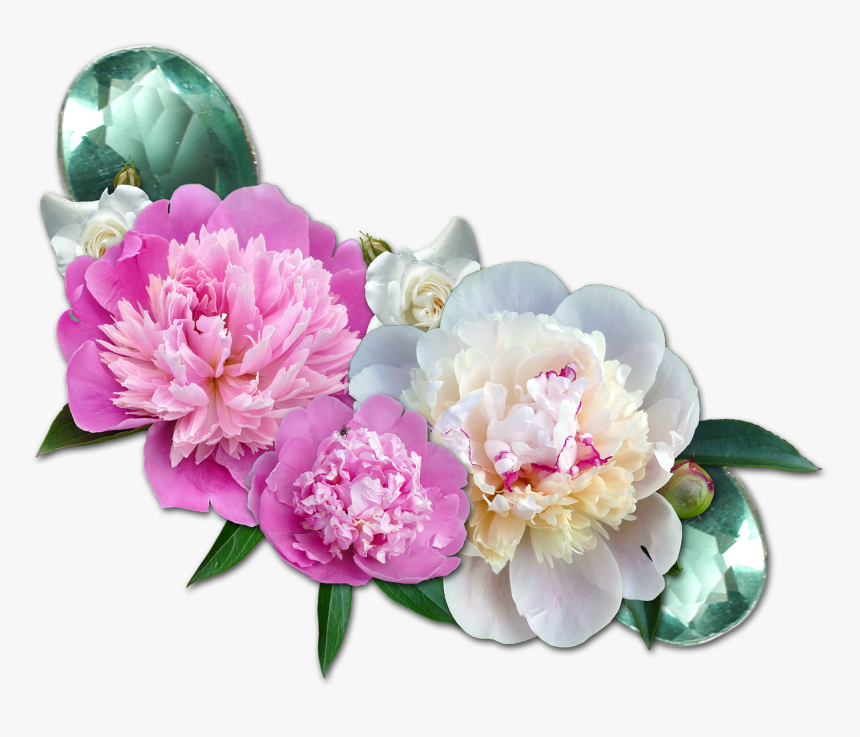 Cluster Peony Roses Gems - Transparent Background Peony Flower Png, Png Download, Free Download