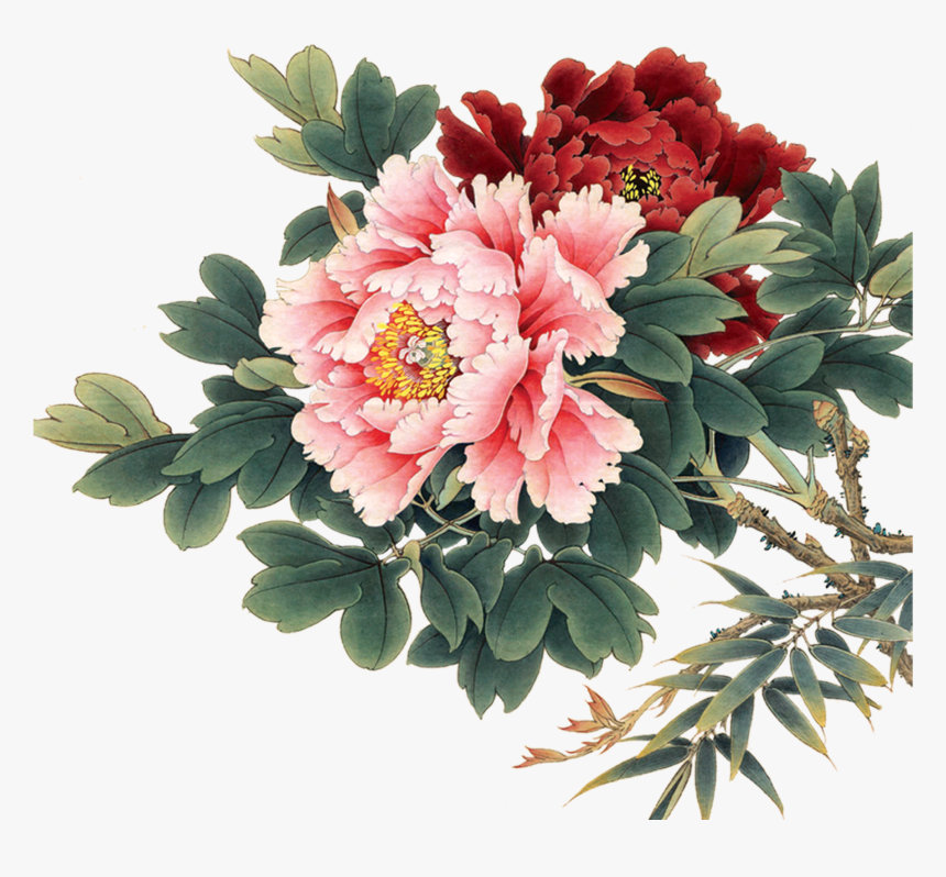 Clip Free Stock Peony Clipart Hand Drawn - Chinese Peony Flower, HD Png Download, Free Download