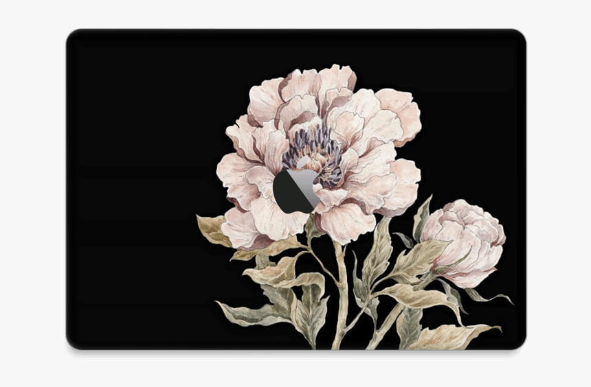 Light Pink Peony Skin Macbook Pro 13” 2016- - Peony, HD Png Download, Free Download