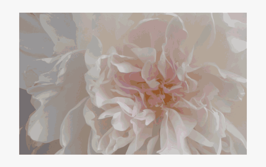 Pink Peony - Dahlia, HD Png Download, Free Download