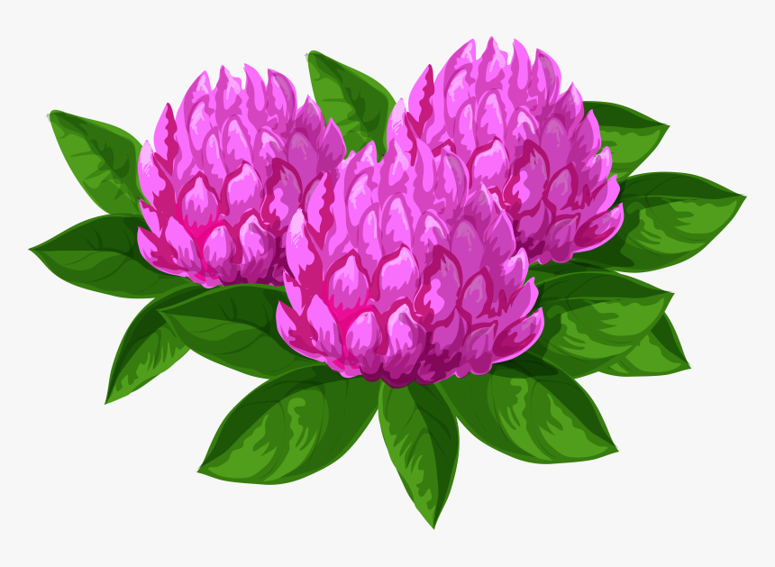 Wild-peony - Portable Network Graphics, HD Png Download, Free Download